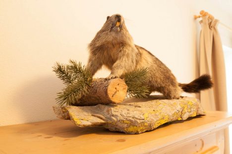 Appartementhaus Sonnfeld - Flachau, Salzburger Land