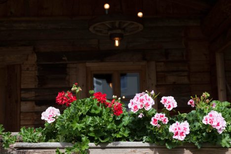 Sommer im Appartementhaus Sonnfeld - Flachau, Salzburger Land