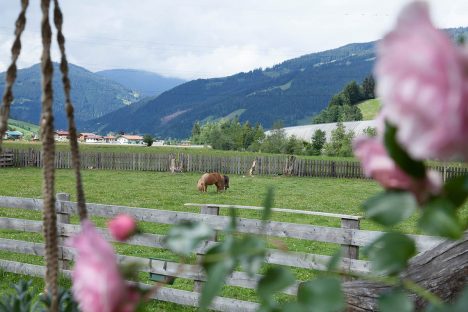 Sommer im Appartementhaus Sonnfeld - Flachau, Salzburger Land