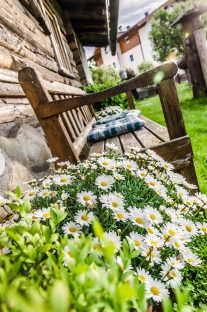Sommerimpressionen im Appartementhaus Sonnfeld - Flachau, Salzburger Land