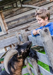 Sommerurlaub für die ganze Familie in den Appartements Sonnfeld - Flachau