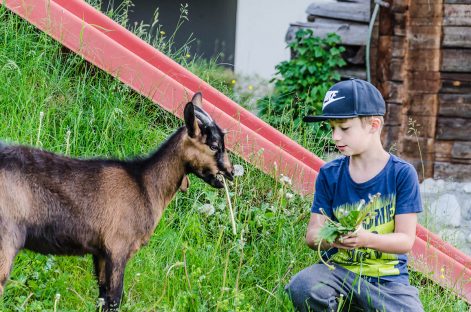 Sommerurlaub für die ganze Familie in den Appartements Sonnfeld - Flachau