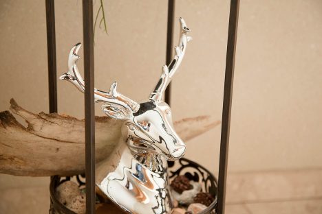 Ferienwohnung in Flachau - direkt am Lift - Apartment Bliem