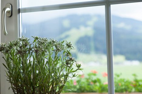 Schöne Aussicht in den Ferienwohnungen - Appartements Sonnfeld in Flachau, Österreich