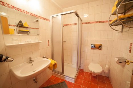 Großzügige Ferienwohnungen - Appartements Sonnfeld in Flachau, Salzburg